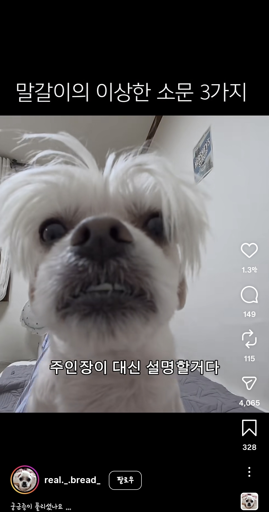 [잡담] 얘 뭔가 한요한 닮지 않음? | 인스티즈