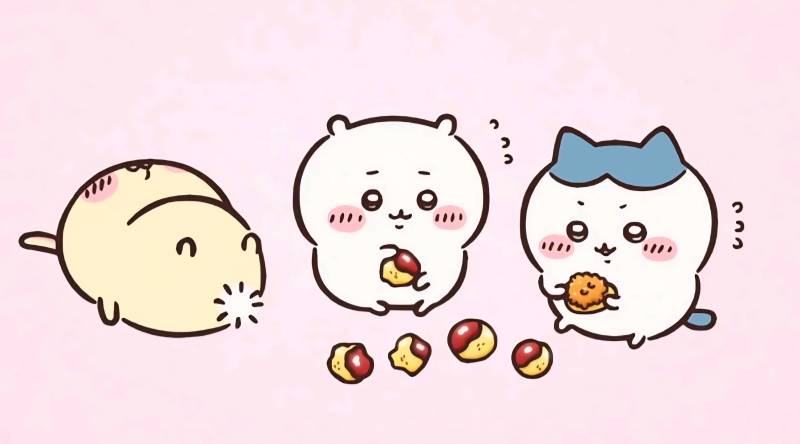 [잡담] 무슨 주먹밥이람 | 인스티즈