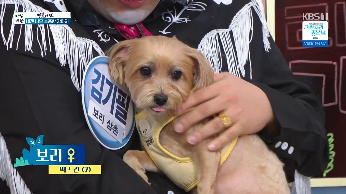 [정보/소식] 아침마당 초호화 역대급 개스트 등장으로 논란ㄷㄷㄷ | 인스티즈