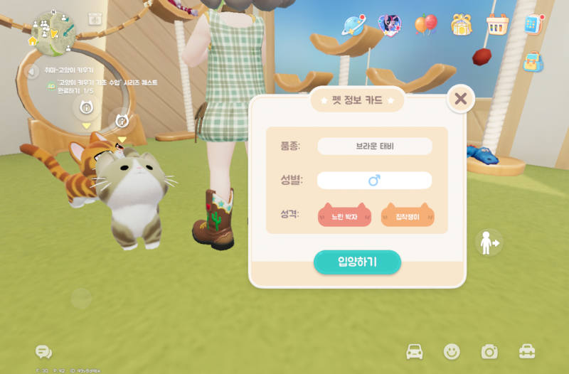 [잡담] 브라운 태비 콩눈 오때... | 인스티즈