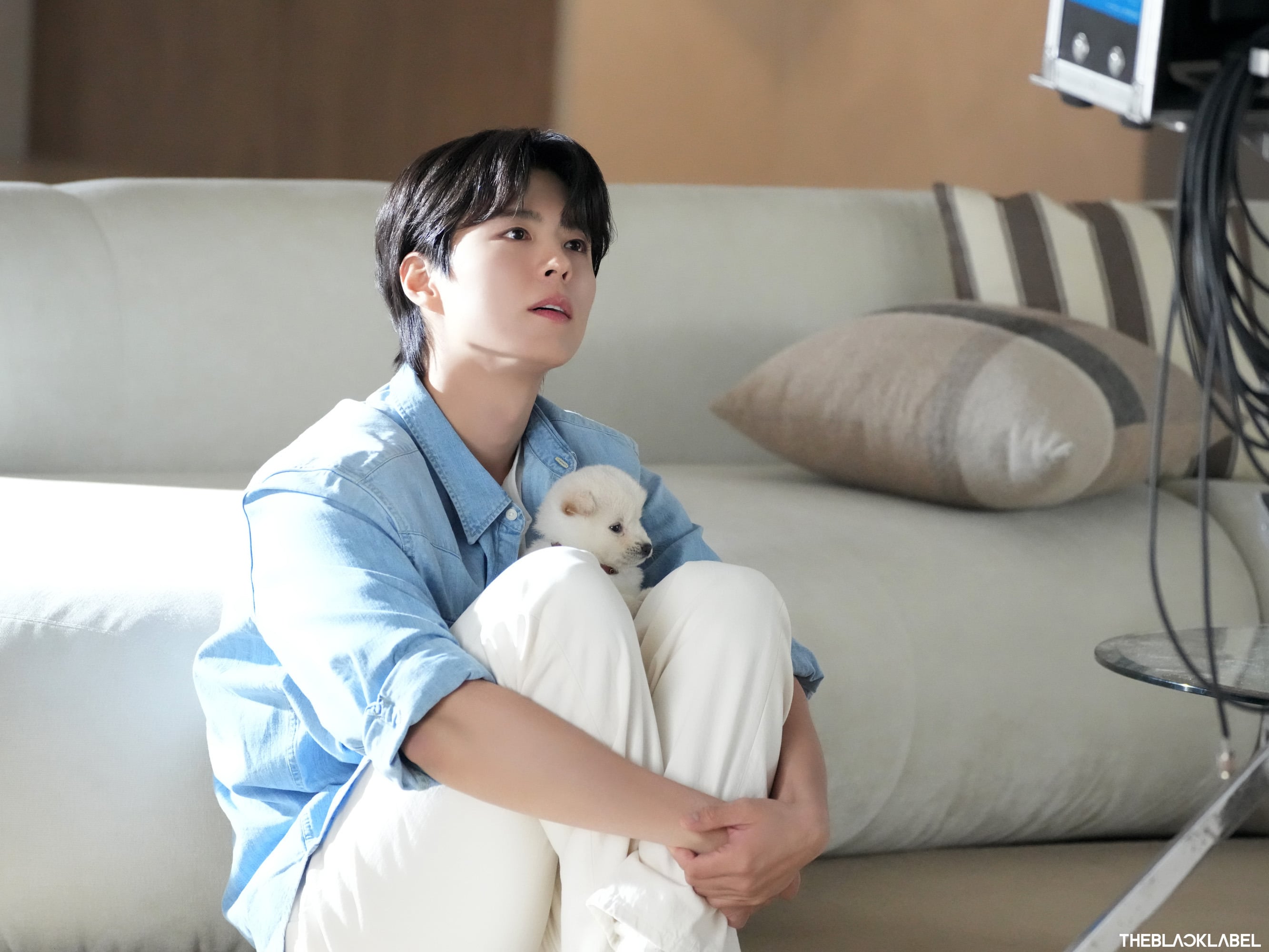 [잡담] 박보검 소속사에서 방금 풀어준 박보검이랑 강아지 사진 미쳤어 | 인스티즈