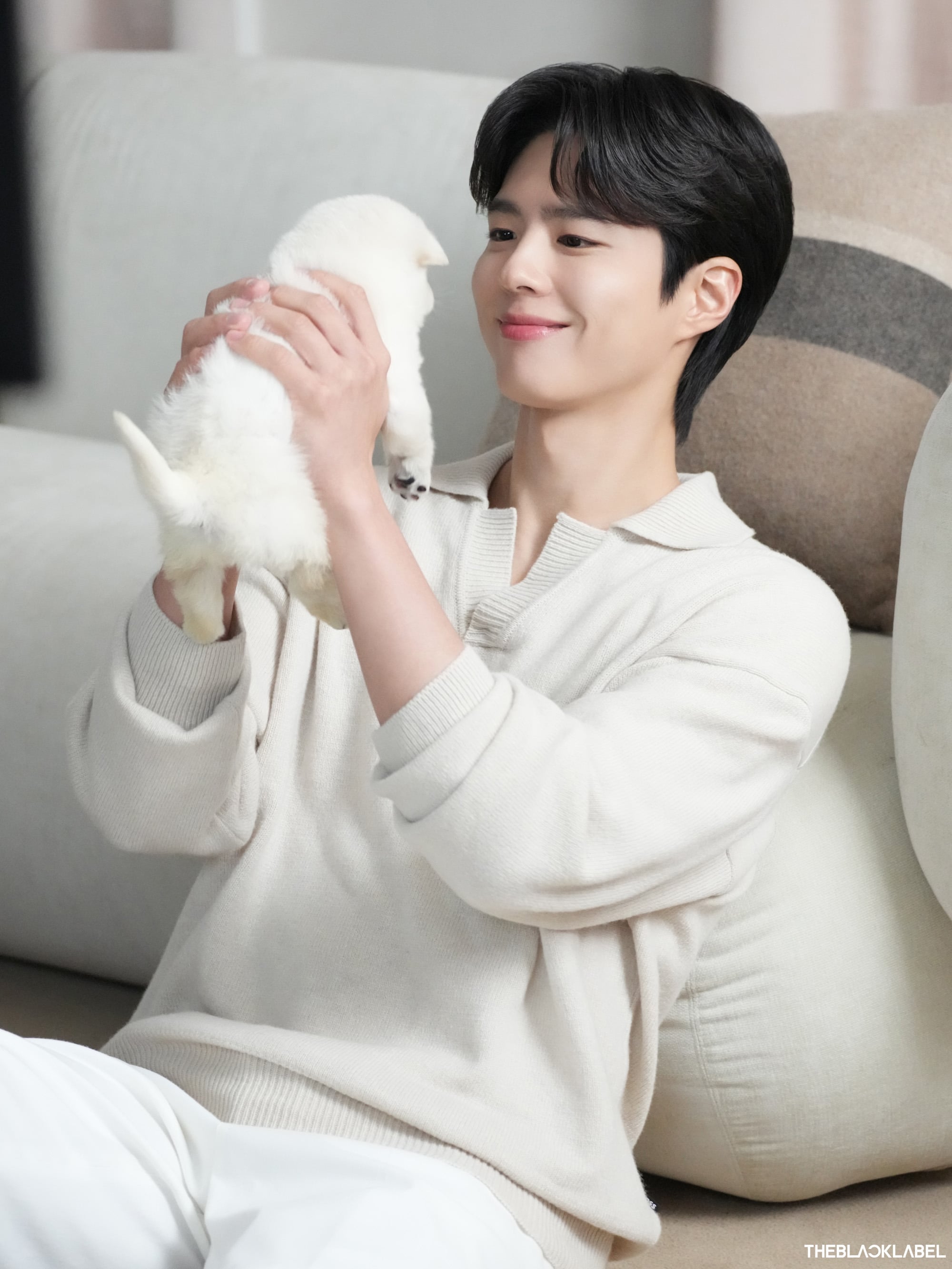 [잡담] 박보검 소속사에서 방금 풀어준 박보검이랑 강아지 사진 미쳤어 | 인스티즈