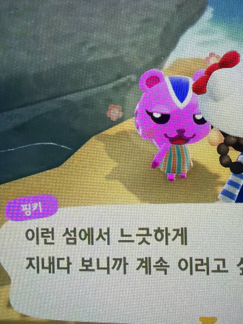 [잡담] 얘들아 개급해 얘 어떰? | 인스티즈