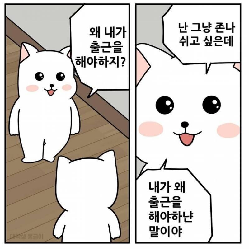 [잡담] 직장인들아 다들 이래? | 인스티즈
