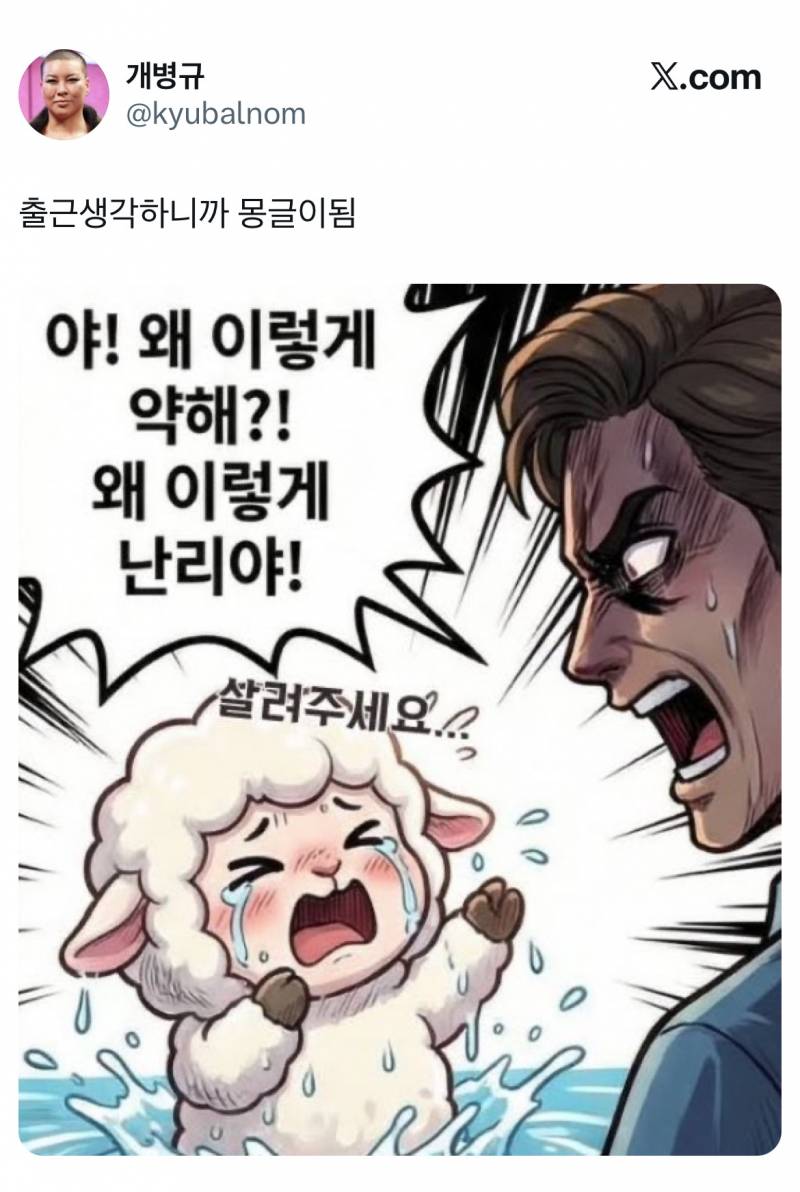 전우원한테 샤라웃 받은 몽글이 트윗 모음집…twt | 인스티즈