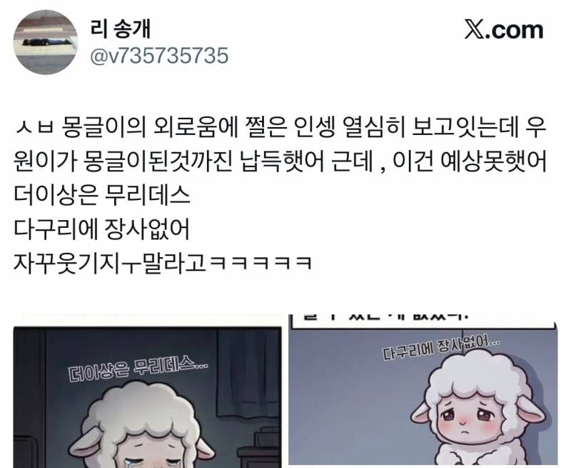 전우원한테 샤라웃 받은 몽글이 트윗 모음집…twt | 인스티즈