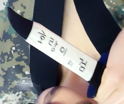 [잡담] 샤갈 호랑이의 검 이런다ㅋㅋㅋㅋ | 인스티즈