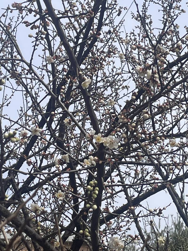 [잡담] 날이 더워졌다 | 인스티즈