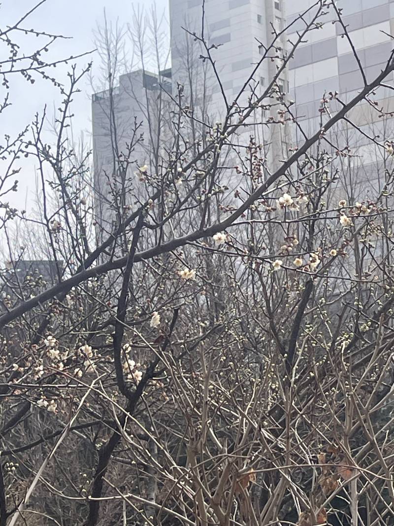 [잡담] 날이 더워졌다 | 인스티즈