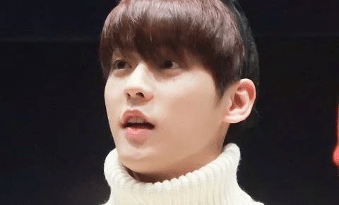 [잡담] 팬들도 헷갈리는 아이돌 사진이래 | 인스티즈