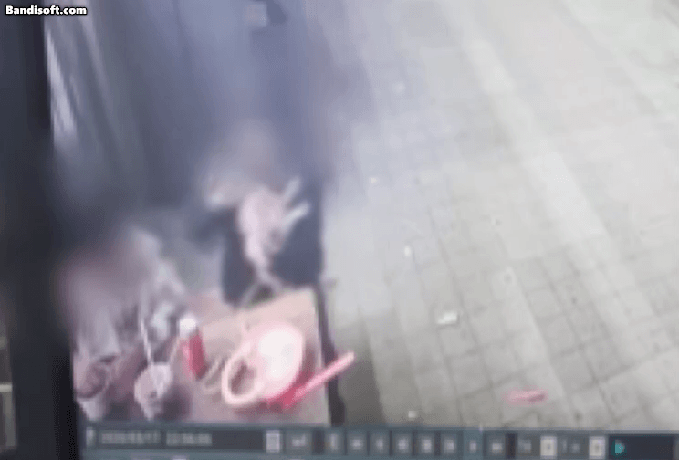 엄마가 준 담배 피운 10살 딸…동생에 연기 뱉고 강아지 학대까지 | 인스티즈
