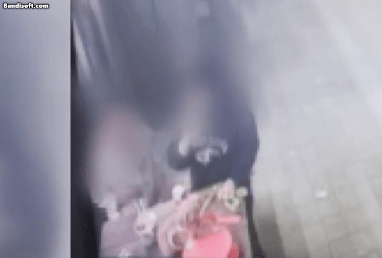 엄마가 준 담배 피운 10살 딸…동생에 연기 뱉고 강아지 학대까지 | 인스티즈