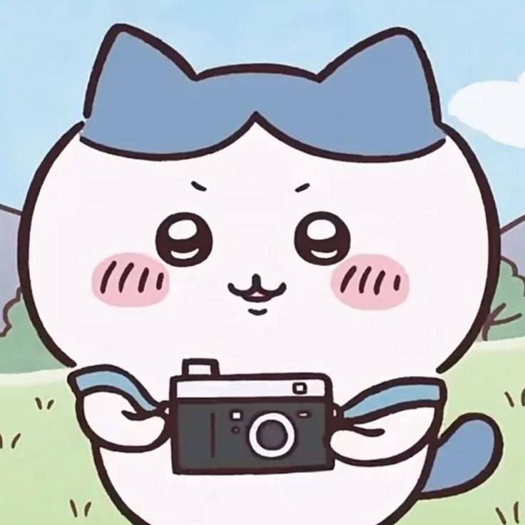 [잡담] 카메라 하치 📸 | 인스티즈