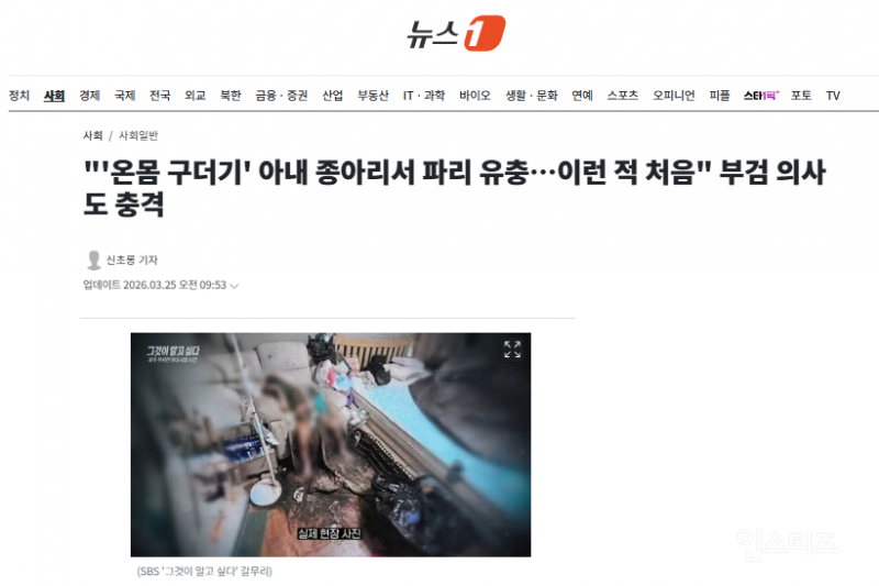 "'온몸 구더기' 아내 종아리서 파리 유충…이런 적 처음" 부검 의사도 충격 | 인스티즈
