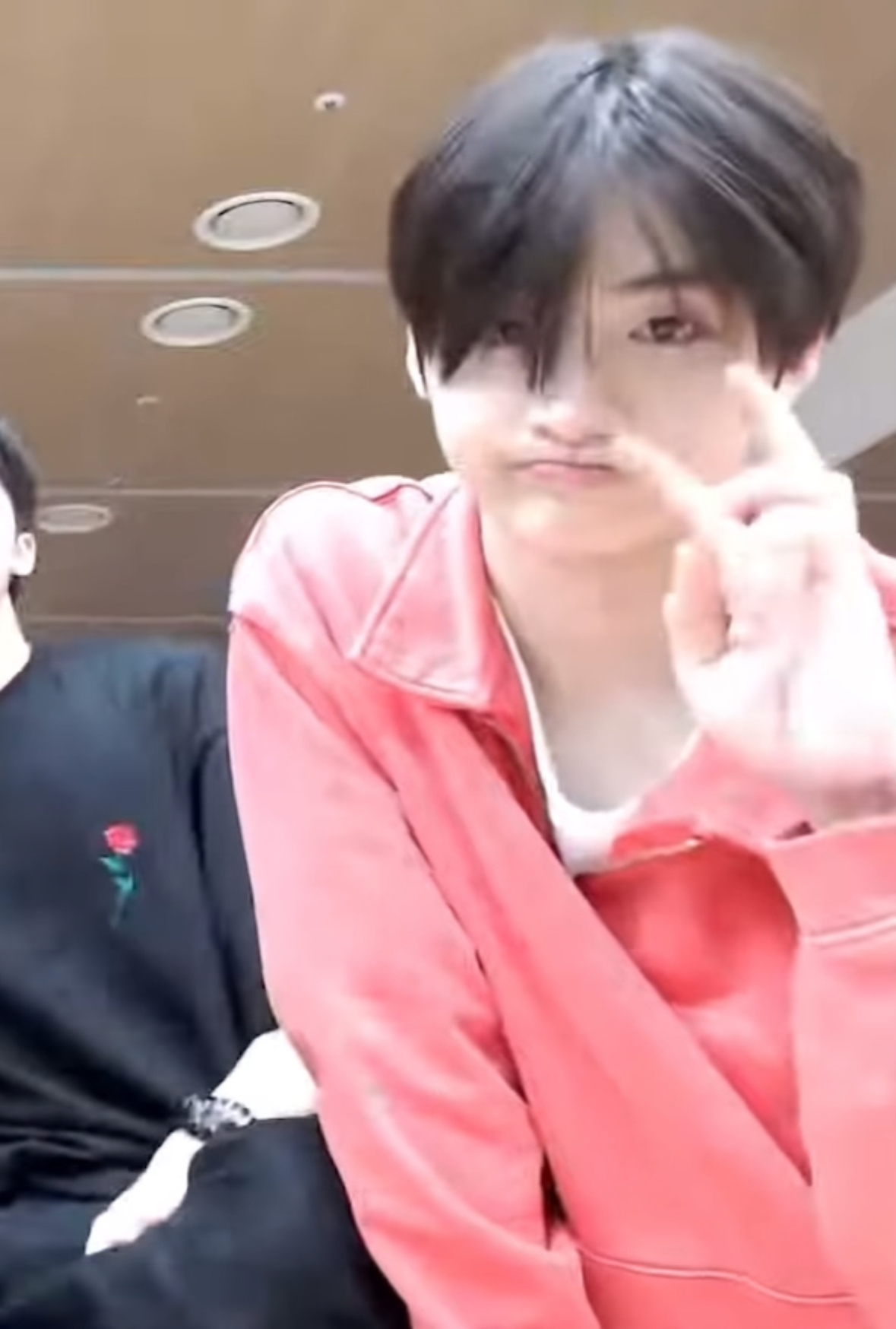 [잡담] 이상원 내 도파민, 햇살, 강아지 | 인스티즈