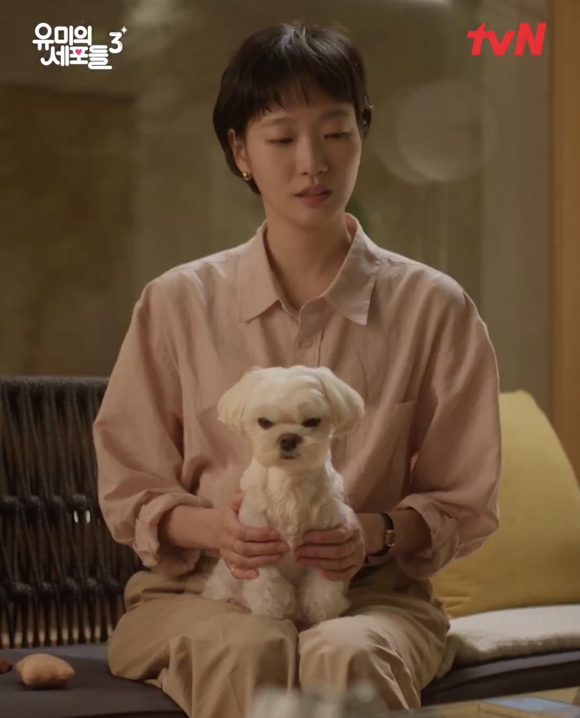 [잡담] 아이고 순록아ㅋㅋㅋㅋㅋㅋㅋㅋㅋㅋ | 인스티즈