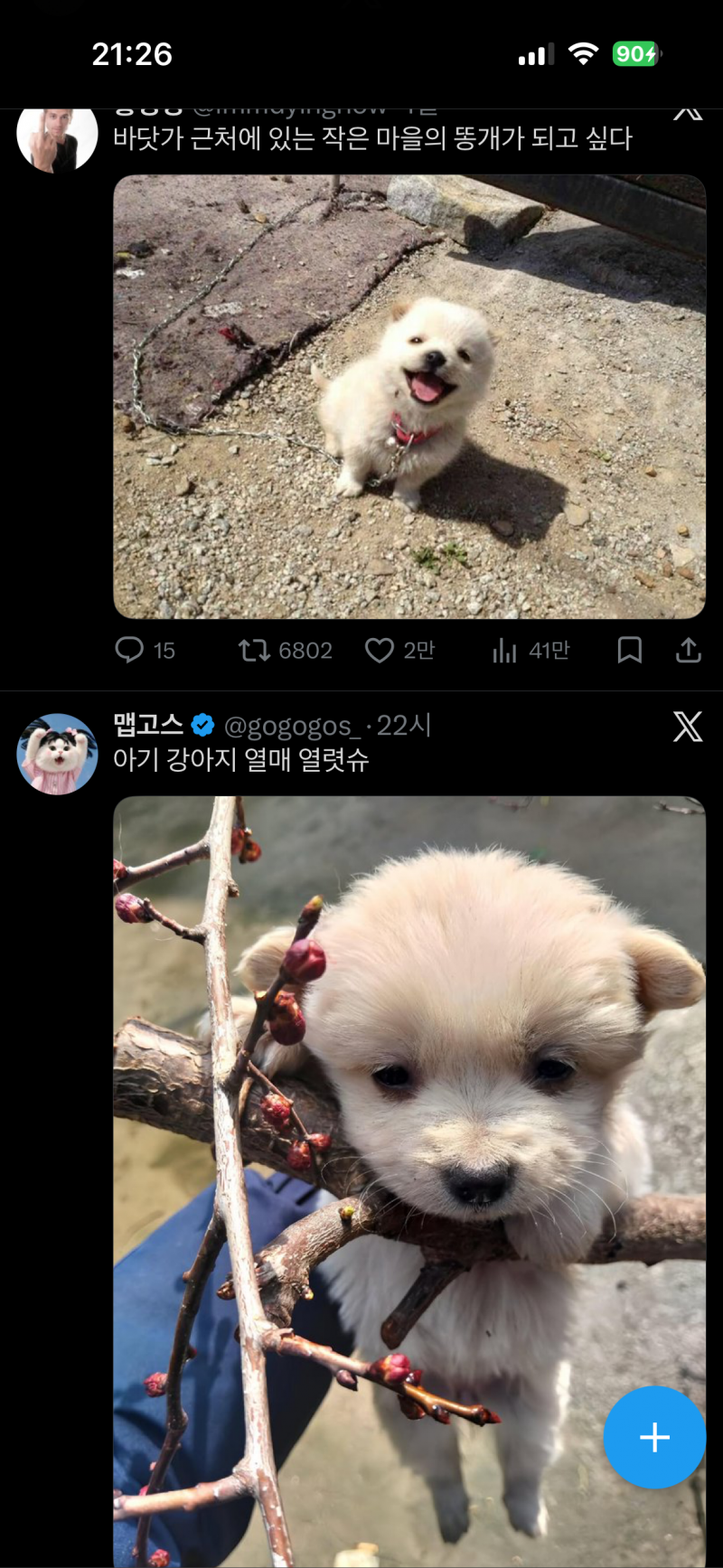 [잡담] 트위터 무표정으로 스크롤링 하다가 함박웃음 지음 | 인스티즈