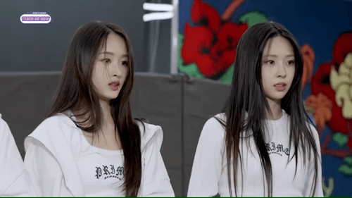 데뷔하면 이미 아깽이 맏막즈 확정이라는 여돌 .jpgif | 인스티즈