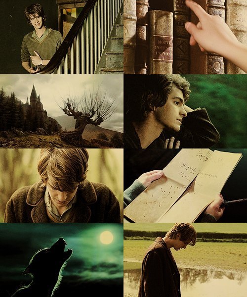 [잡담] 한때 해리포터 팬들 사이에서 개개개개개 유명했던 가상캐스팅 | 인스티즈