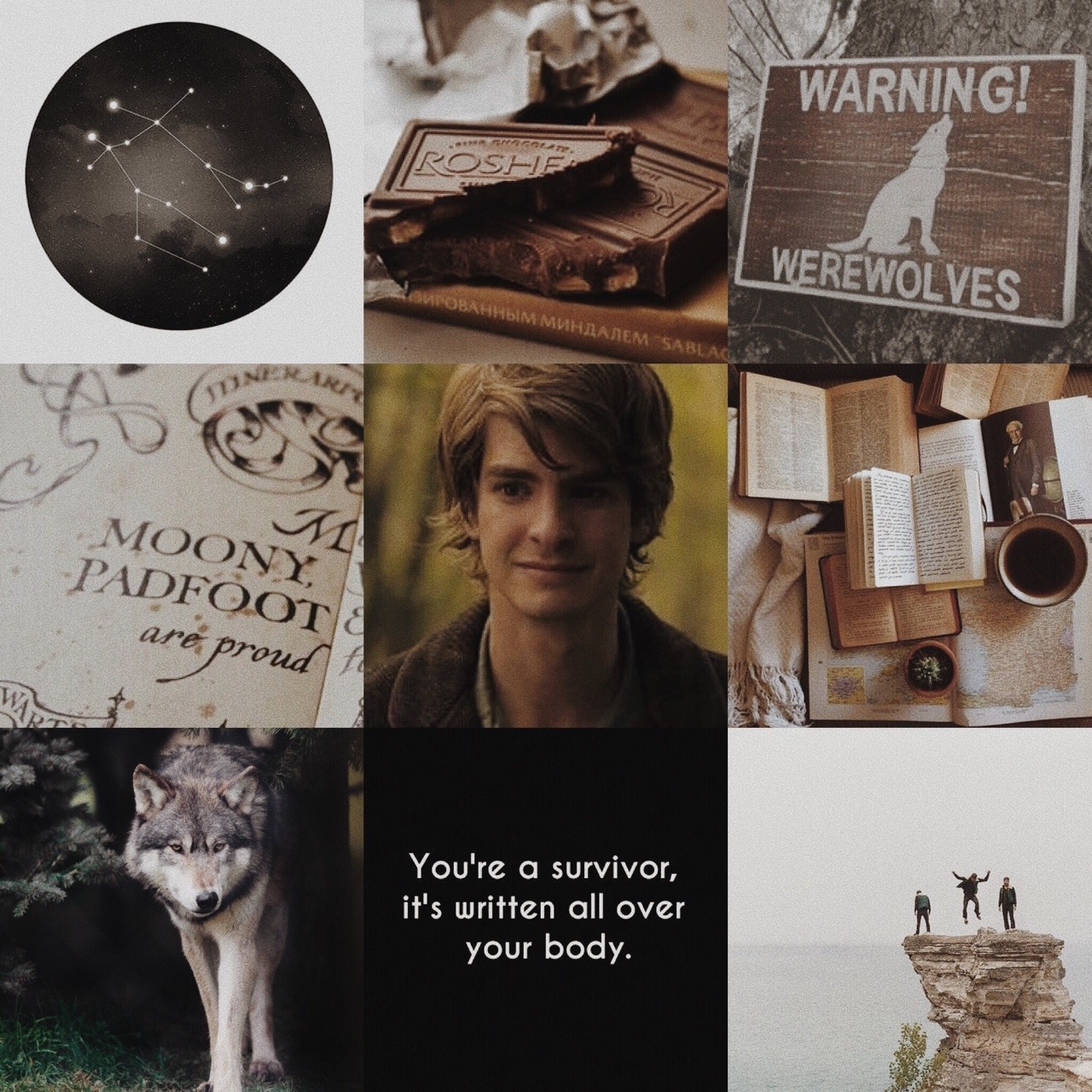 [잡담] 한때 해리포터 팬들 사이에서 개개개개개 유명했던 가상캐스팅 | 인스티즈