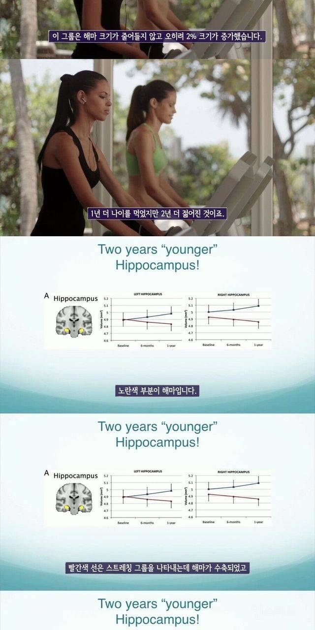 사람몸에 가장 최적화된 운동 | 인스티즈