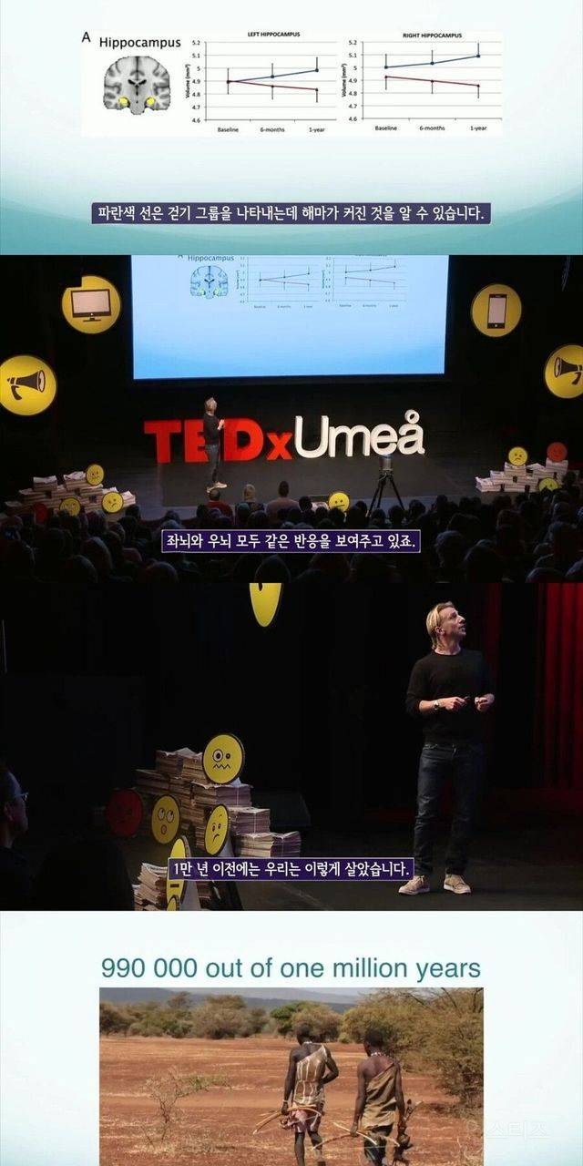 사람몸에 가장 최적화된 운동 | 인스티즈