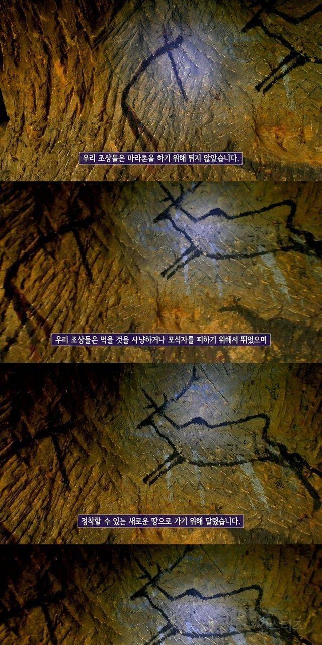 사람몸에 가장 최적화된 운동 | 인스티즈