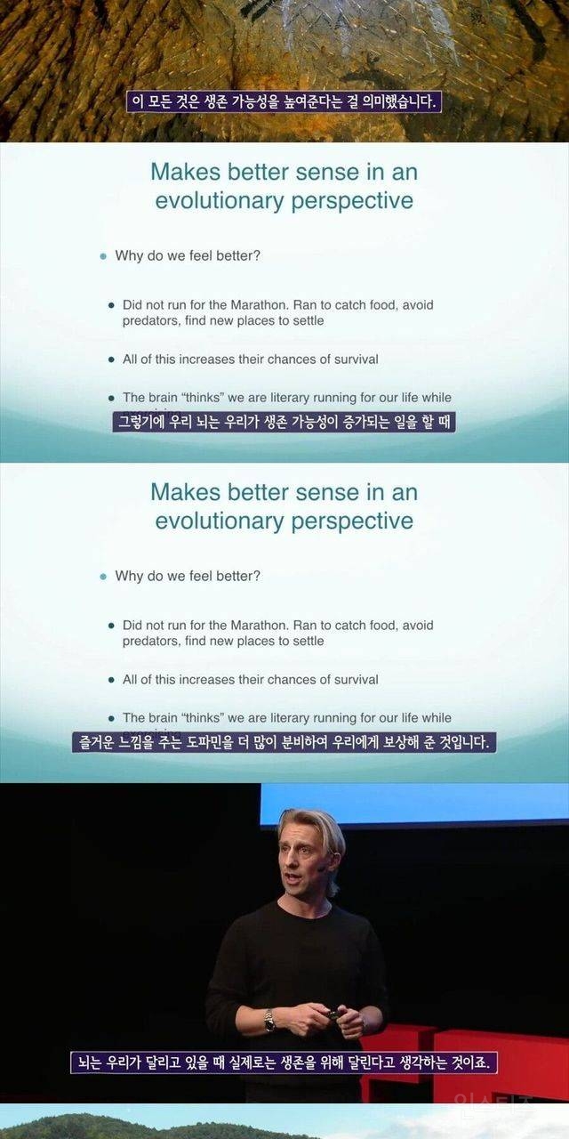 사람몸에 가장 최적화된 운동 | 인스티즈