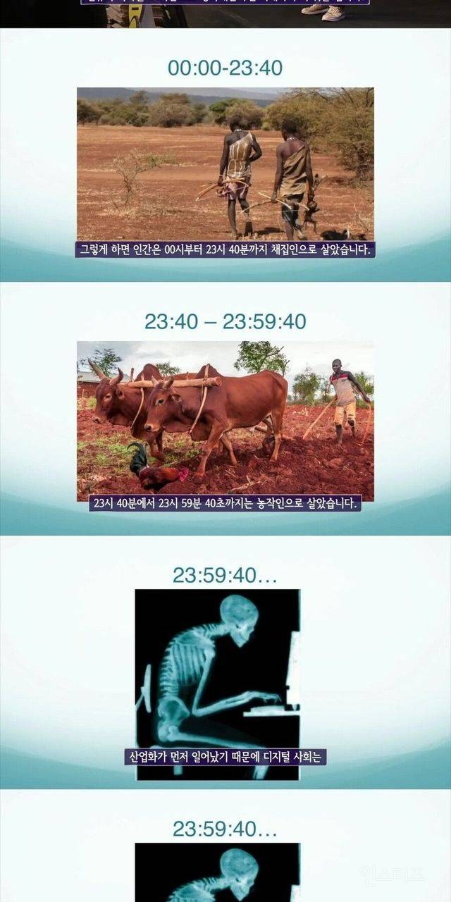 사람몸에 가장 최적화된 운동 | 인스티즈