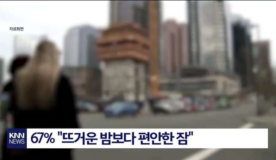 요즘 젠지들에게 많다는 노알노섹.JPG | 인스티즈