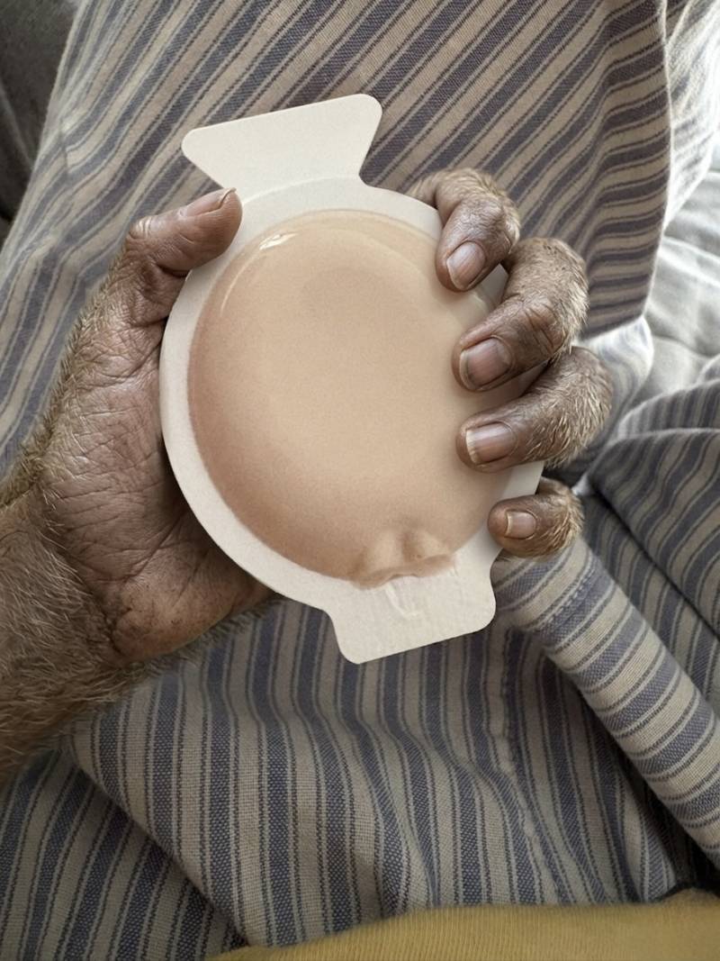 [잡담] 까요까요 이 맛있는거 아기들만 먹고 있었다고? | 인스티즈