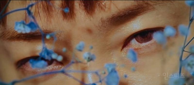 예술성 있게 잘뽑아냈다는 이번 뮤비.jpg | 인스티즈