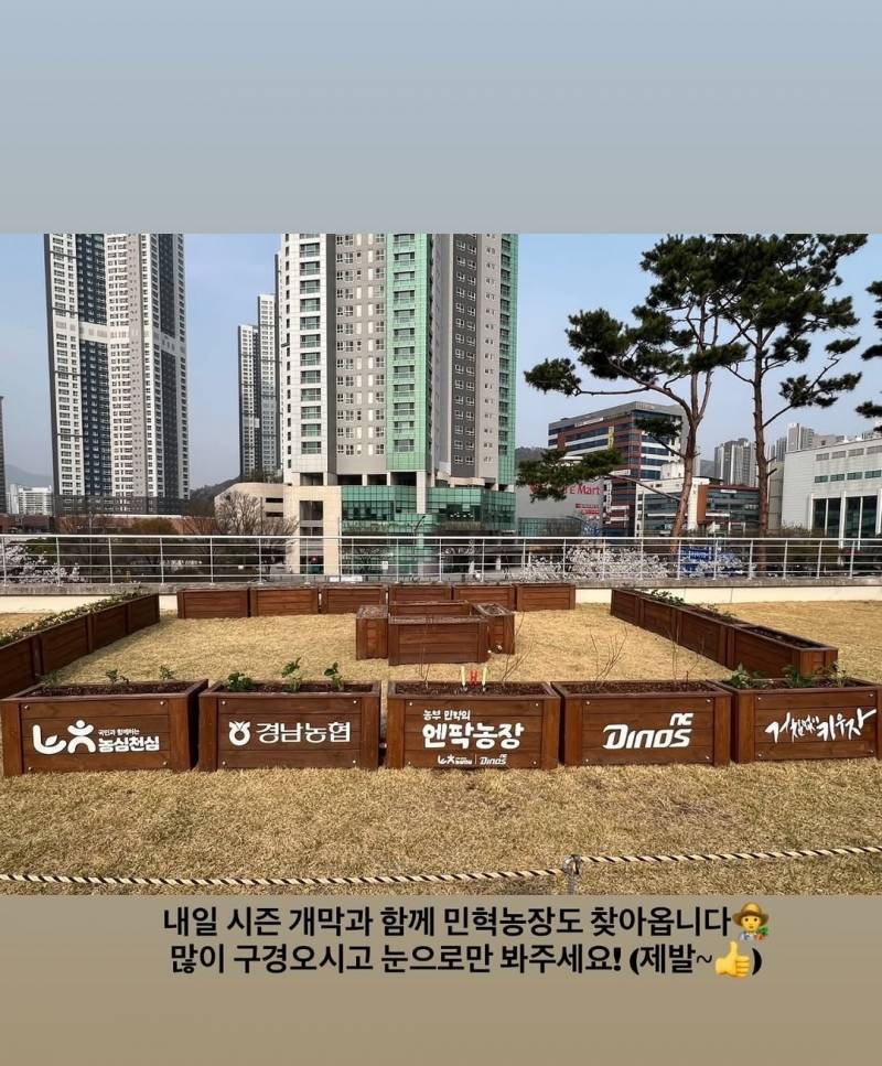 [잡담] 엔팍에 민혁농장있대 | 인스티즈