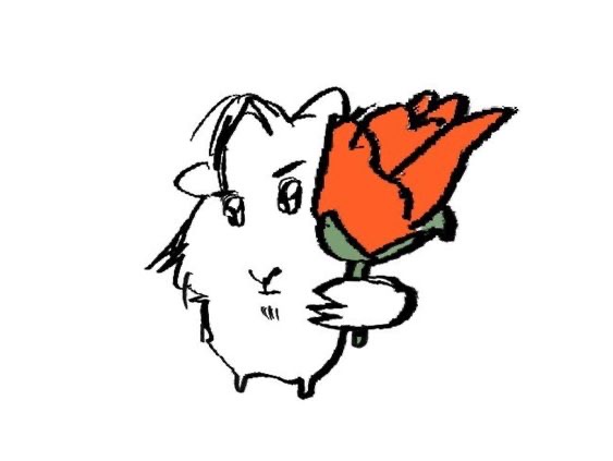 [잡담] 야 이 바보들아!!!!! | 인스티즈