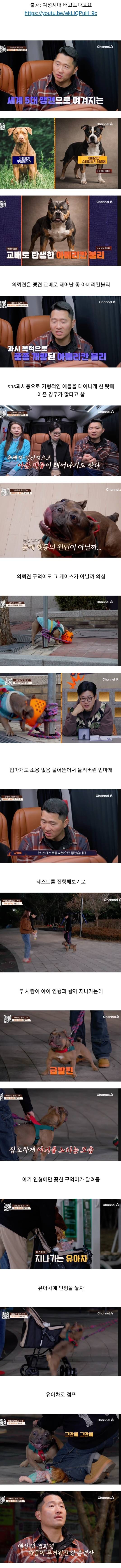 (소름주의) 강형욱이 솔루션 포기한 싸패개..JPG | 인스티즈