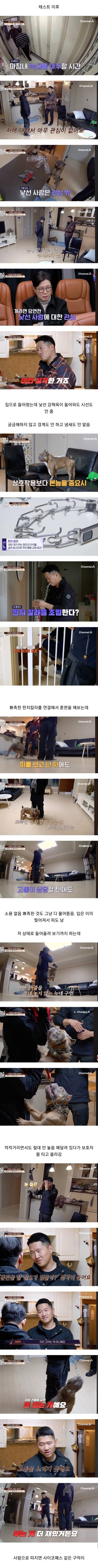(소름주의) 강형욱이 솔루션 포기한 싸패개..JPG | 인스티즈