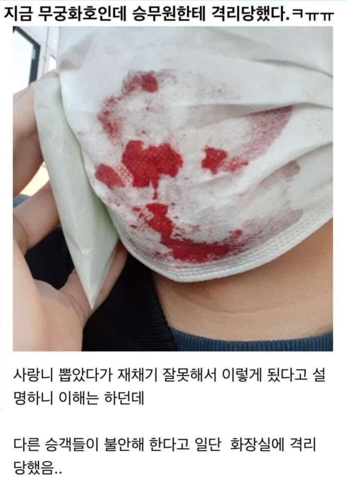 [잡담] 이거 승무원도 진짜 당황했을듯...ㅋㅋ | 인스티즈