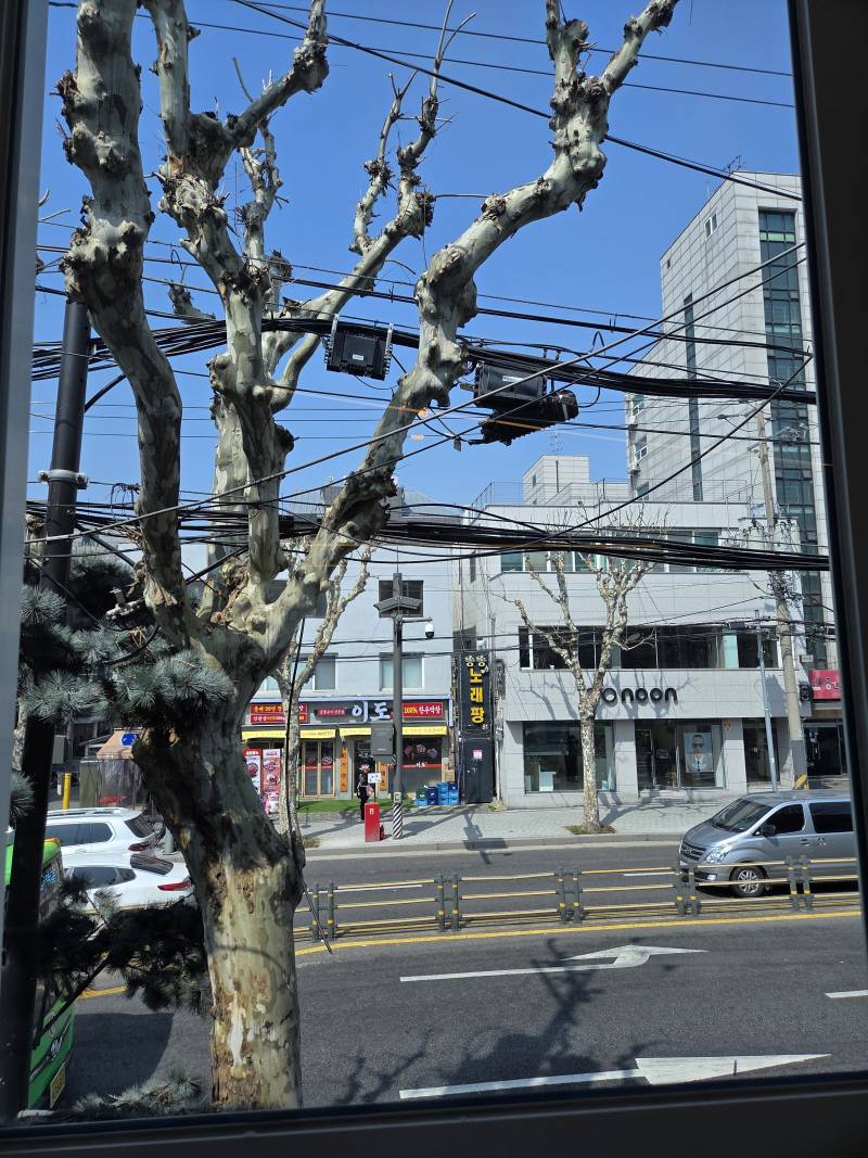 [잡담] 귀찮음 대신 낭만 선택하기 | 인스티즈
