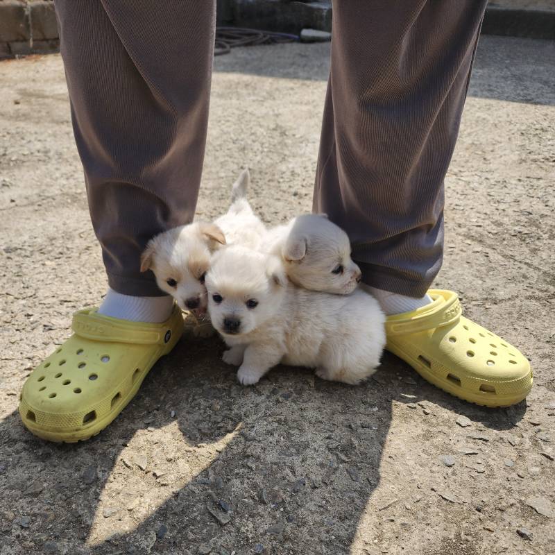 [잡담] 내 권력 어때 | 인스티즈