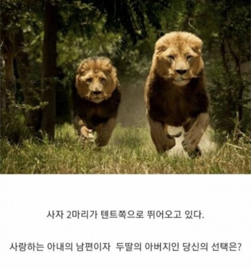 [잡담] 실제 구글면접에서 나온 질문이래 | 인스티즈