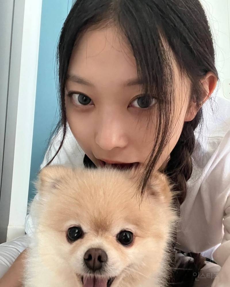 주인이랑 그림체가 정반대인 뉴진스 해린 강아지.jpg | 인스티즈