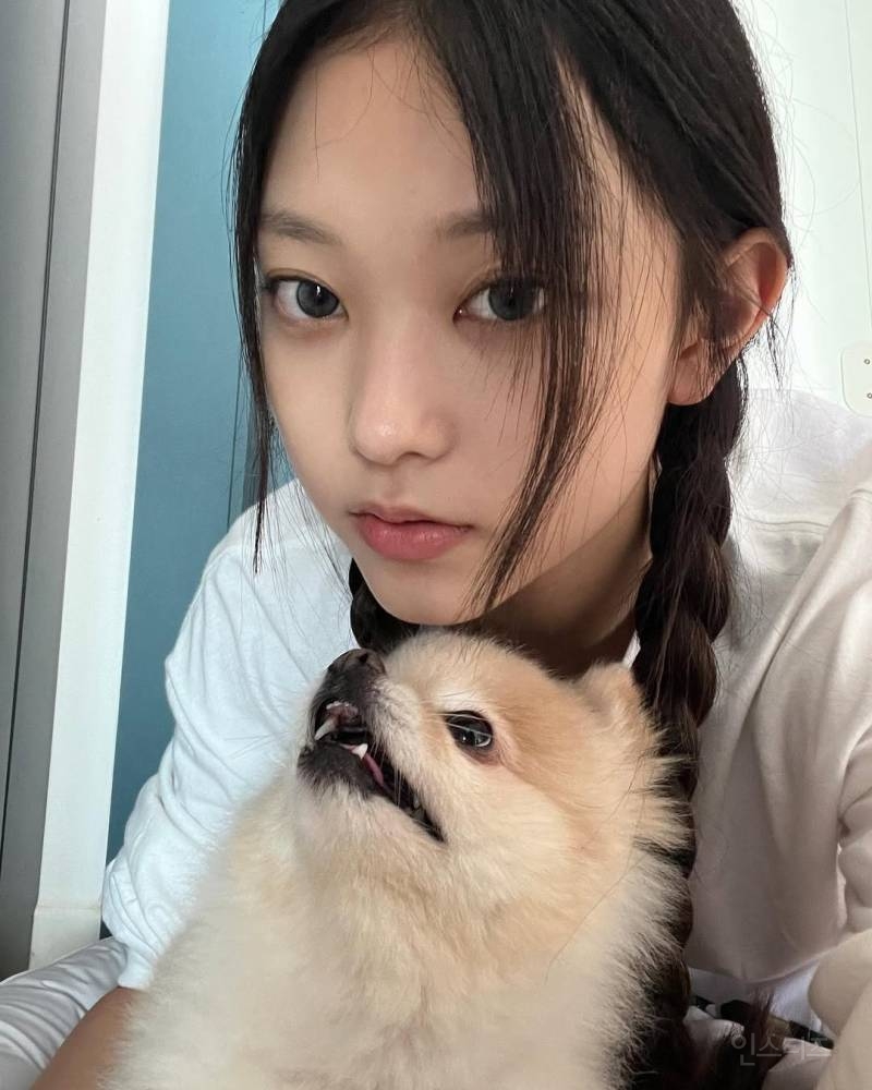 주인이랑 그림체가 정반대인 뉴진스 해린 강아지.jpg | 인스티즈