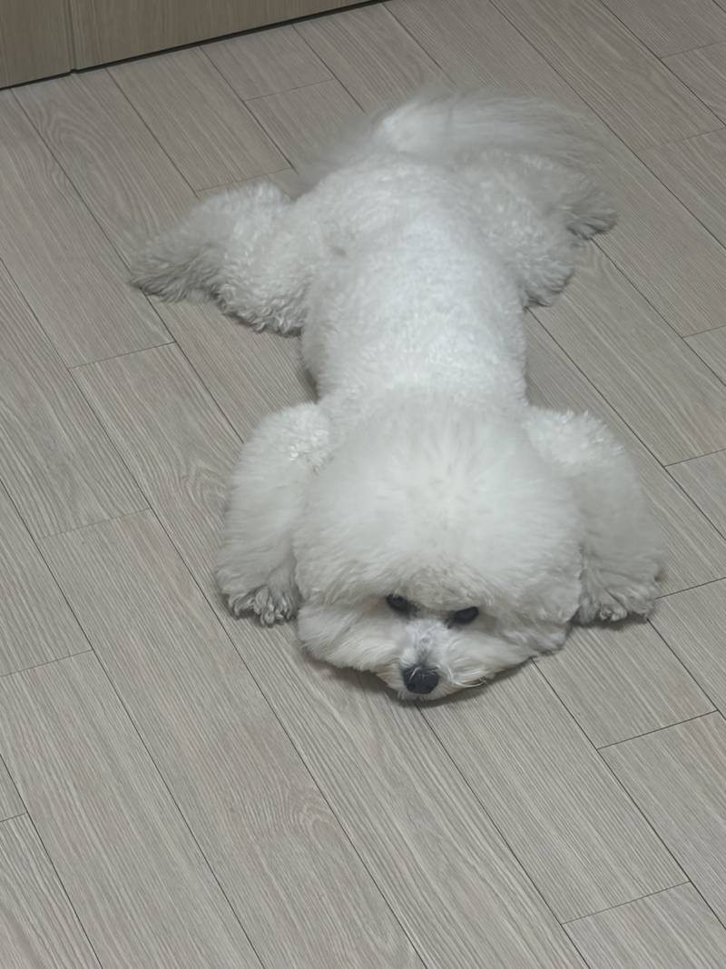 [잡담] 얘가 글케 귀여워??? | 인스티즈