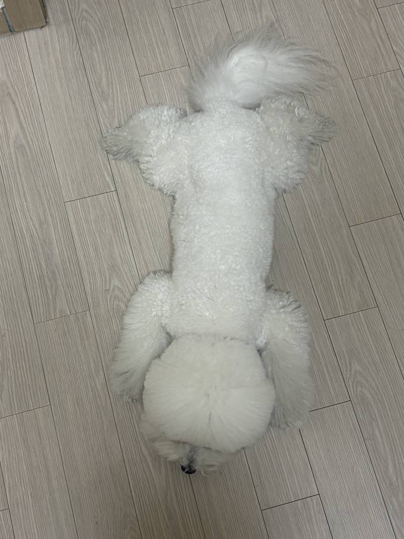 [잡담] 이 사진을보고 생각나는 단어나 문장이 뭐냐? | 인스티즈