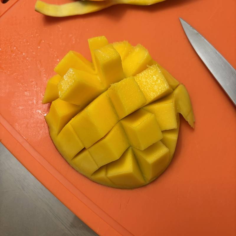 [잡담] 망고🥭 | 인스티즈