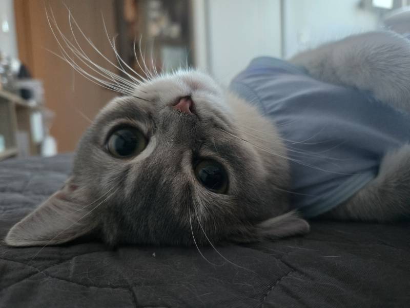 [잡담] 취기가 이제 오른다!! | 인스티즈