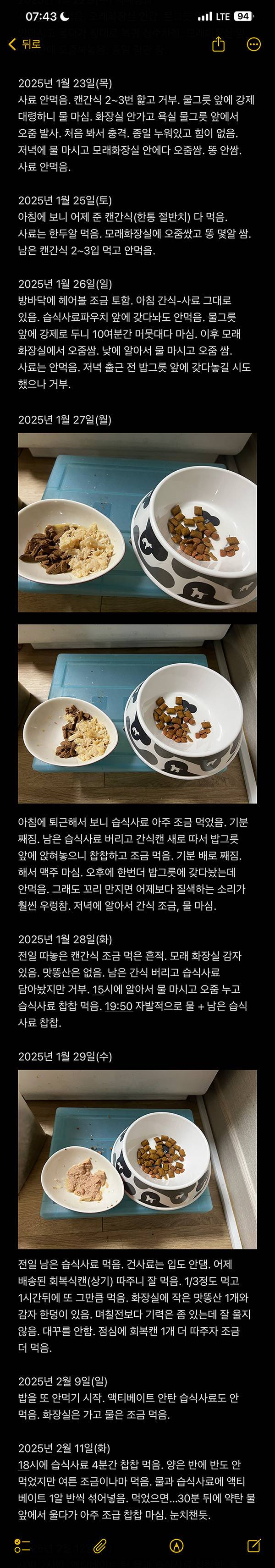 [잡담] 고양이를 주웠어요!! (+17년 후) | 인스티즈