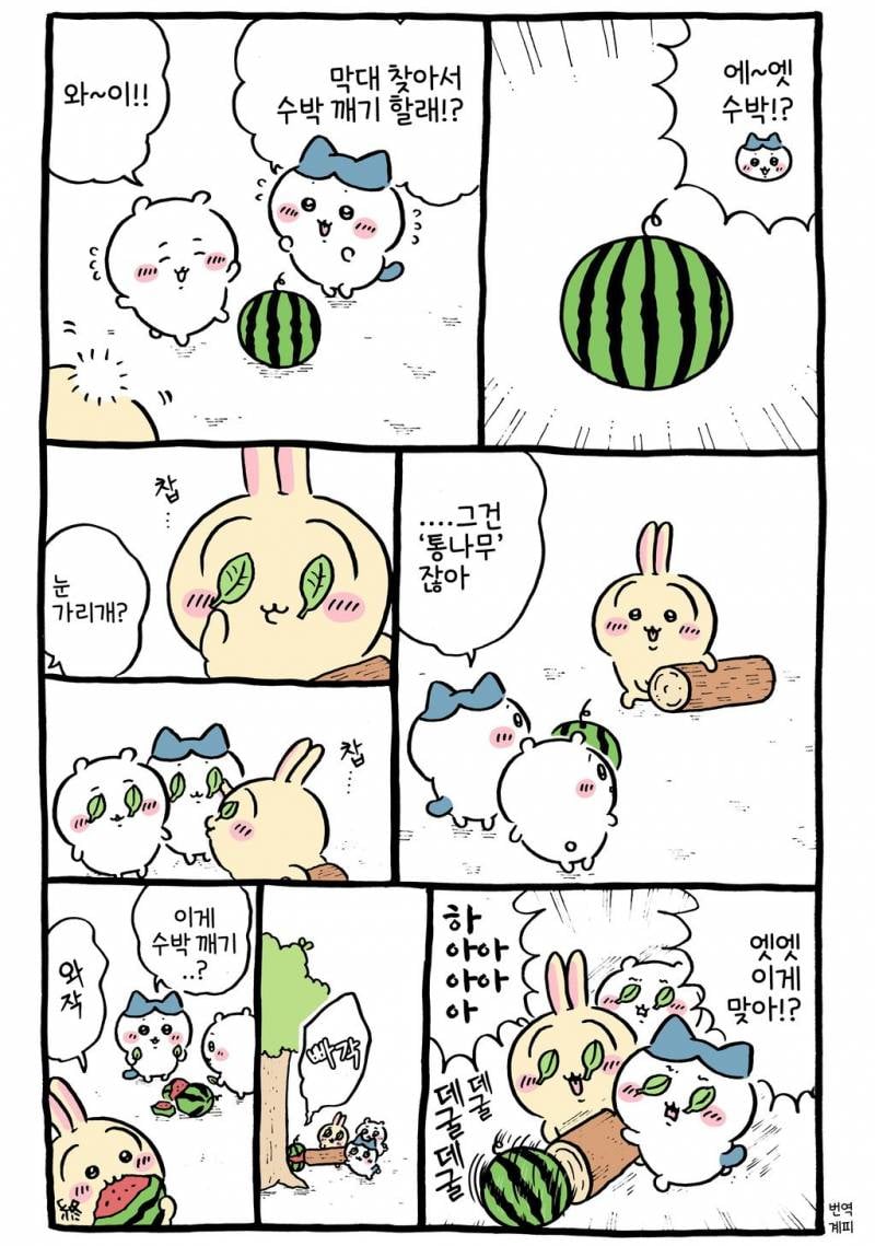 [잡담] 특이한 수박 깨기 🍉 | 인스티즈