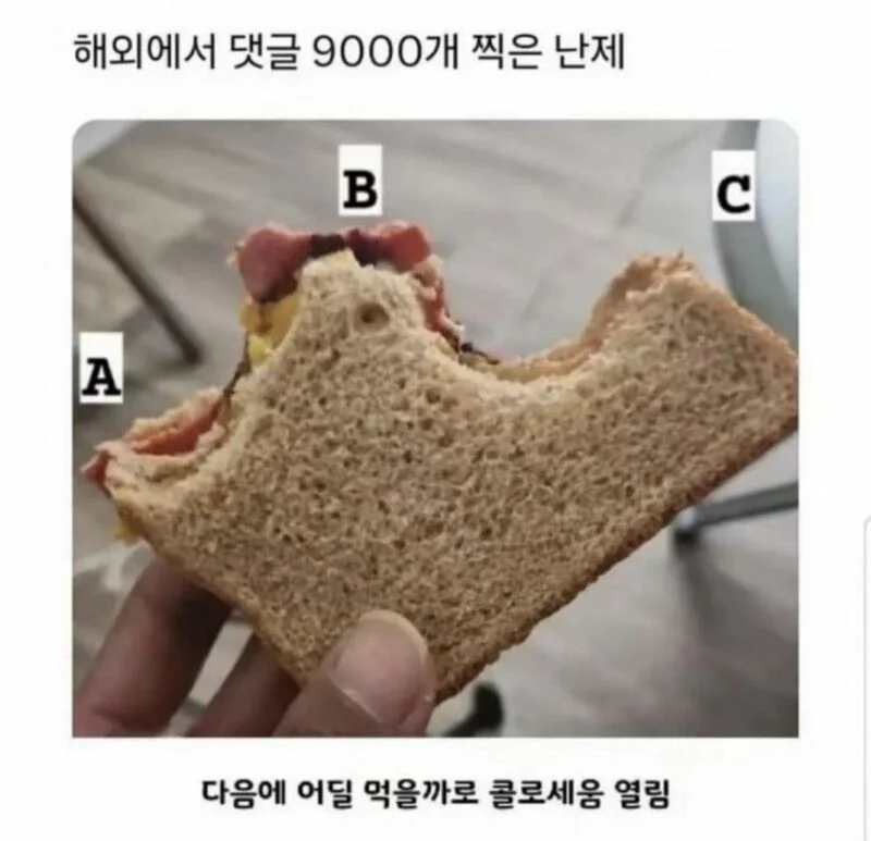 해외에서 댓글9000개 찍힌 샌드위치 사진..JPG | 인스티즈