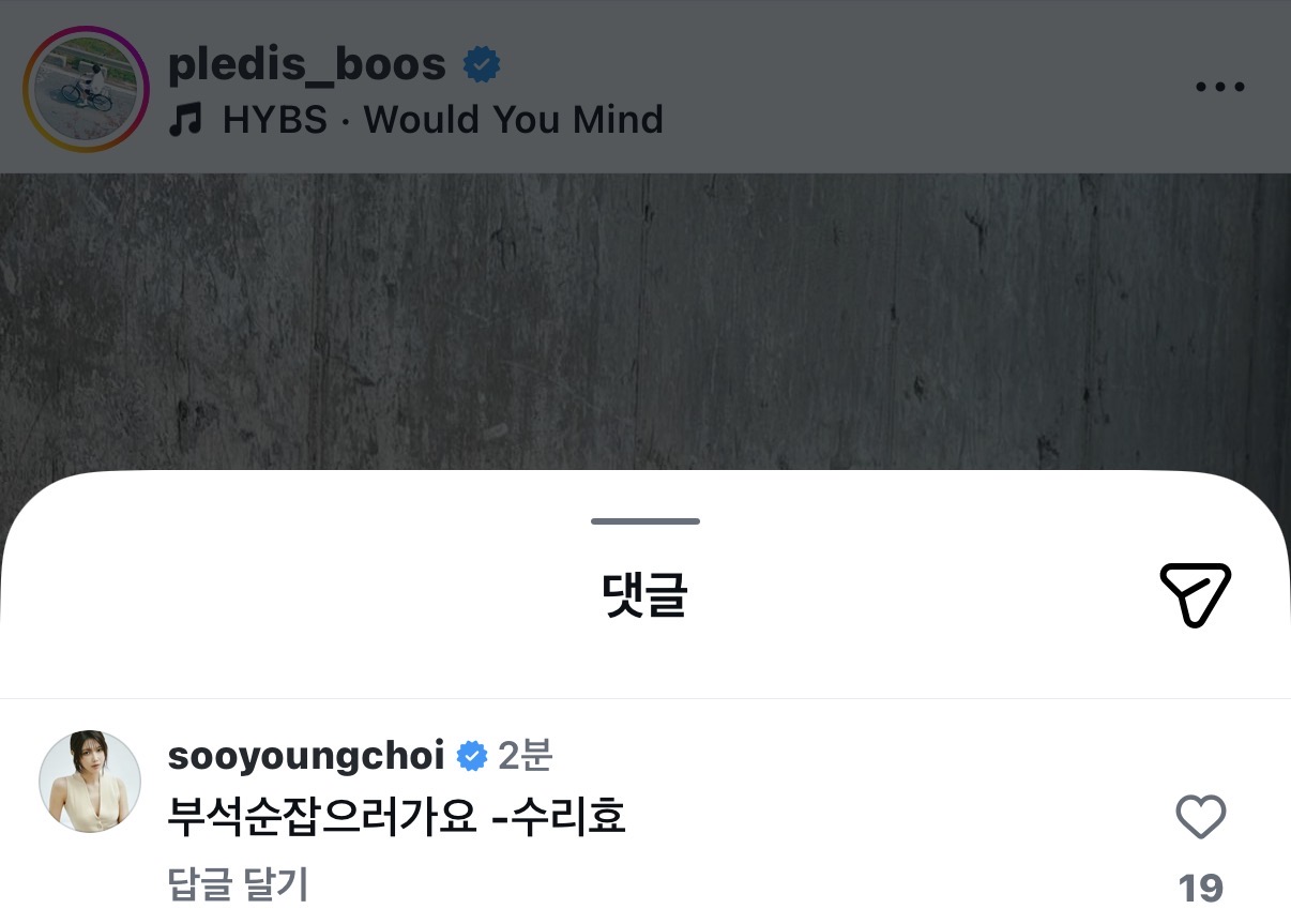 [잡담] 미스터 부 인스타에 최수영 댓글 봨ㅋㅋ | 인스티즈